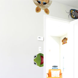 Wall Stickers:  