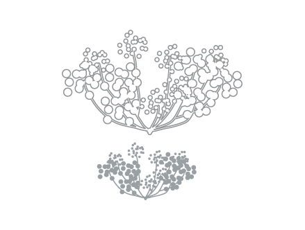 Anise Snow - Giant Wall Stickers  ilan Dei: Sticker / Wall Decal Outline