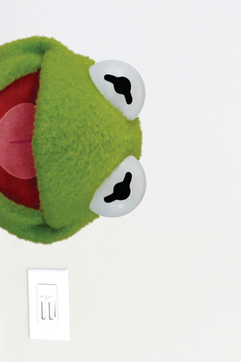 Faces  The  Muppets: Wall Sticker & Wall Decal Main Image
